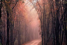 圣埃蒂安客场神奇逆转，仍未败