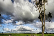 沙尔克遭遇失利，降级危机更加加剧