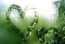 球员展现个人技术，助球队锁定胜局