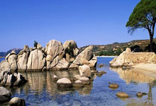 顶级球队逐鹿赛场，竞争激烈